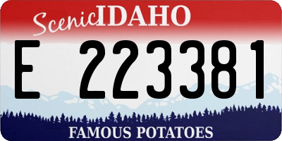 ID license plate E223381