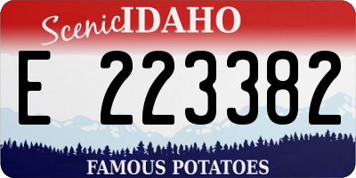 ID license plate E223382