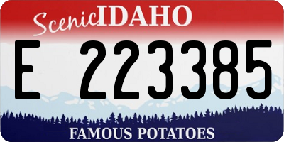 ID license plate E223385