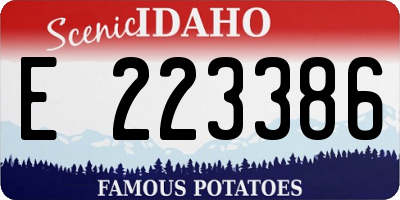 ID license plate E223386