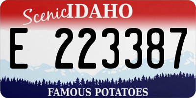 ID license plate E223387