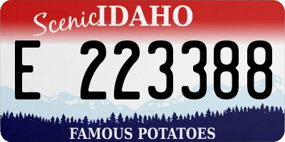 ID license plate E223388