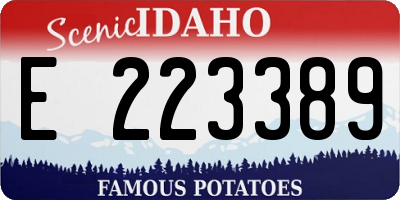ID license plate E223389