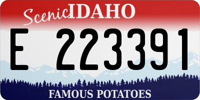 ID license plate E223391