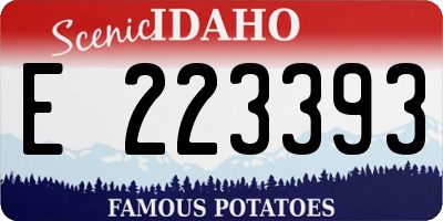 ID license plate E223393