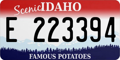 ID license plate E223394
