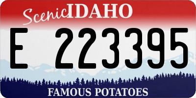 ID license plate E223395