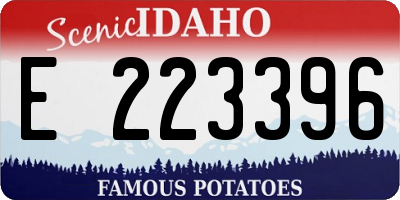 ID license plate E223396