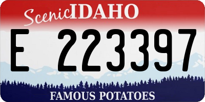 ID license plate E223397