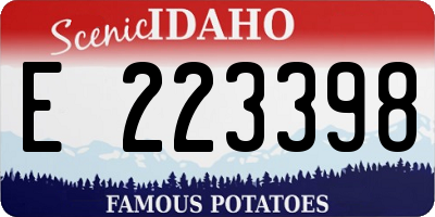 ID license plate E223398