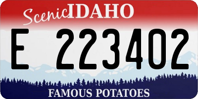 ID license plate E223402