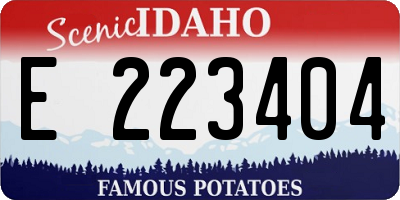 ID license plate E223404
