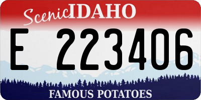 ID license plate E223406