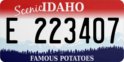 ID license plate E223407