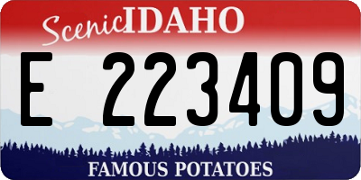 ID license plate E223409