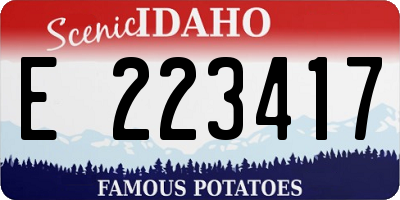 ID license plate E223417