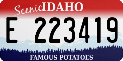 ID license plate E223419