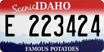 ID license plate E223424