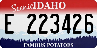 ID license plate E223426