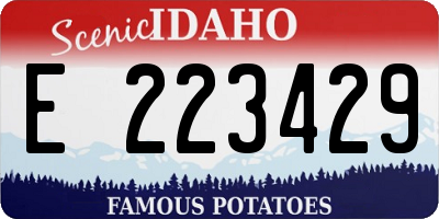 ID license plate E223429
