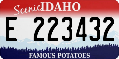ID license plate E223432
