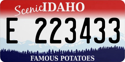 ID license plate E223433