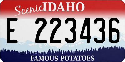 ID license plate E223436