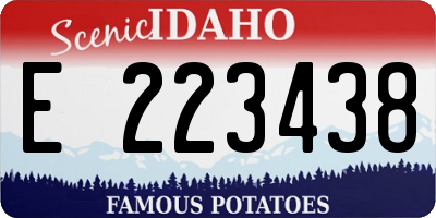 ID license plate E223438