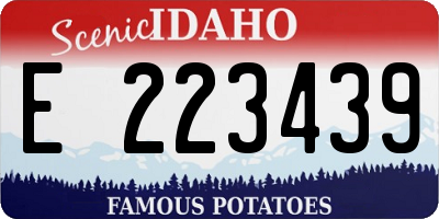 ID license plate E223439