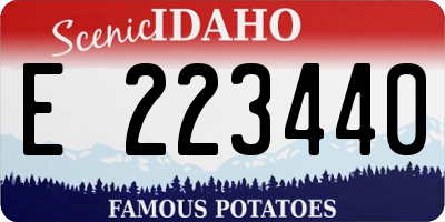 ID license plate E223440