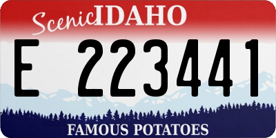 ID license plate E223441