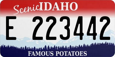 ID license plate E223442
