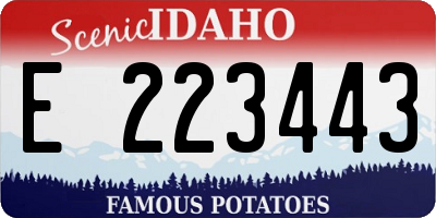 ID license plate E223443