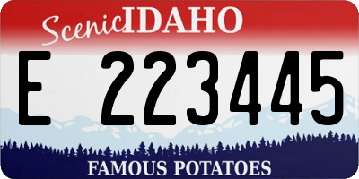ID license plate E223445