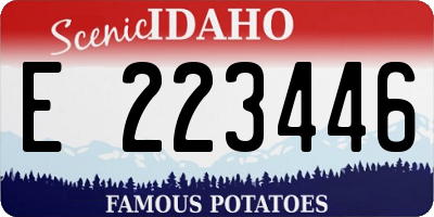 ID license plate E223446