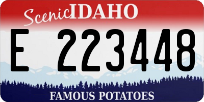 ID license plate E223448