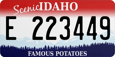 ID license plate E223449