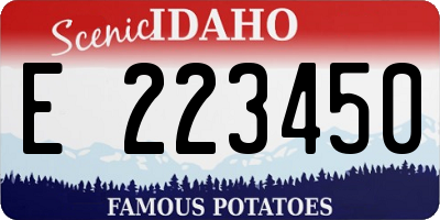 ID license plate E223450
