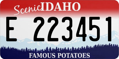 ID license plate E223451
