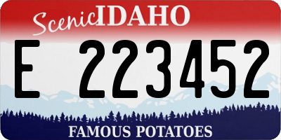 ID license plate E223452