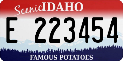 ID license plate E223454