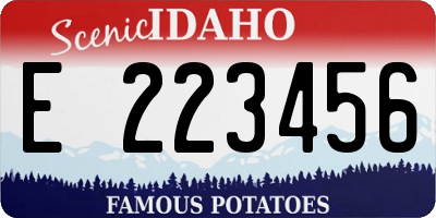 ID license plate E223456
