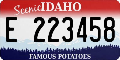 ID license plate E223458