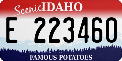 ID license plate E223460