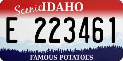 ID license plate E223461