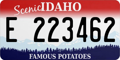 ID license plate E223462