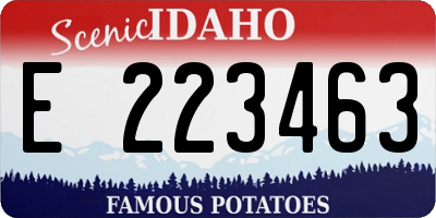 ID license plate E223463
