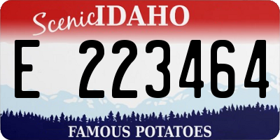 ID license plate E223464