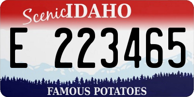 ID license plate E223465