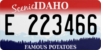 ID license plate E223466